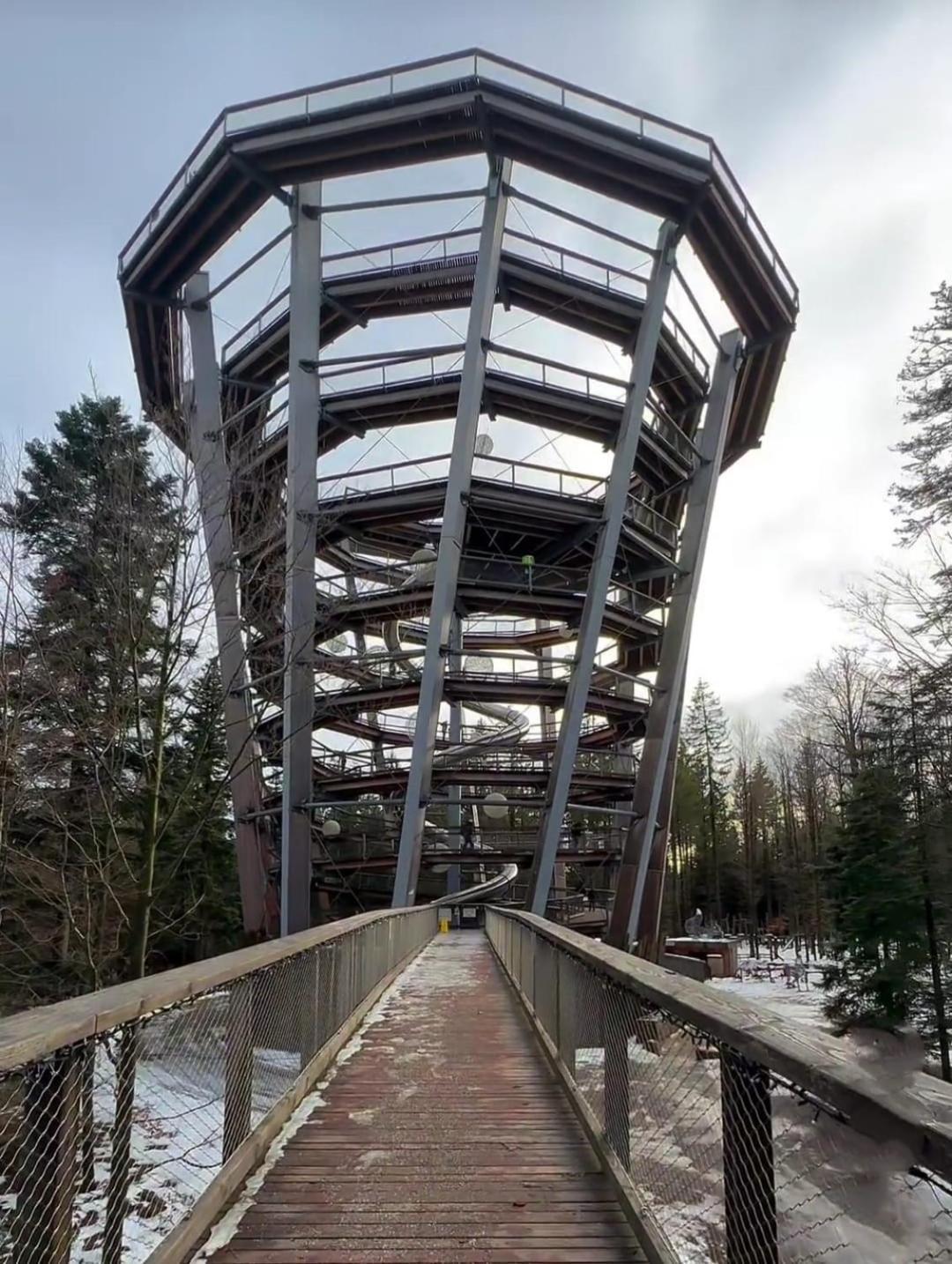 Waldhaus Max Apartment Bad Wildbad Exterior photo